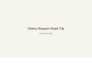 Placeholder image: Cherry Blossom Road Trip
