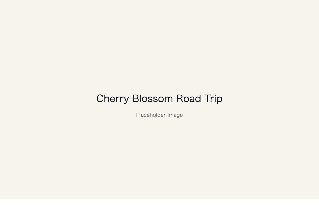 Placeholder image: Cherry Blossom Road Trip