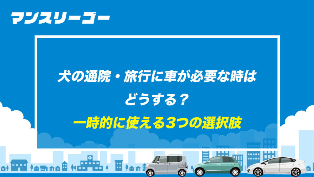犬の通院・旅行に車が必要な時はどうする？ 一時的に使える3つの選択肢