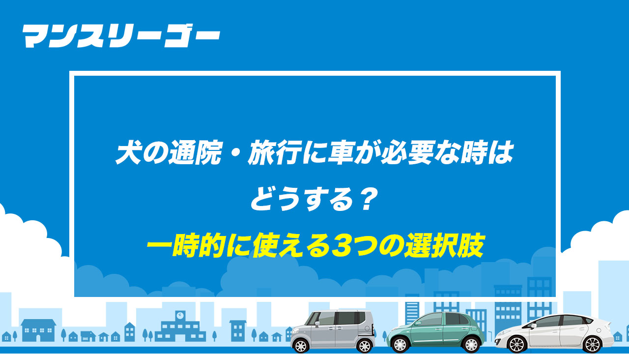 犬の通院・旅行に車が必要な時はどうする？ 一時的に使える3つの選択肢